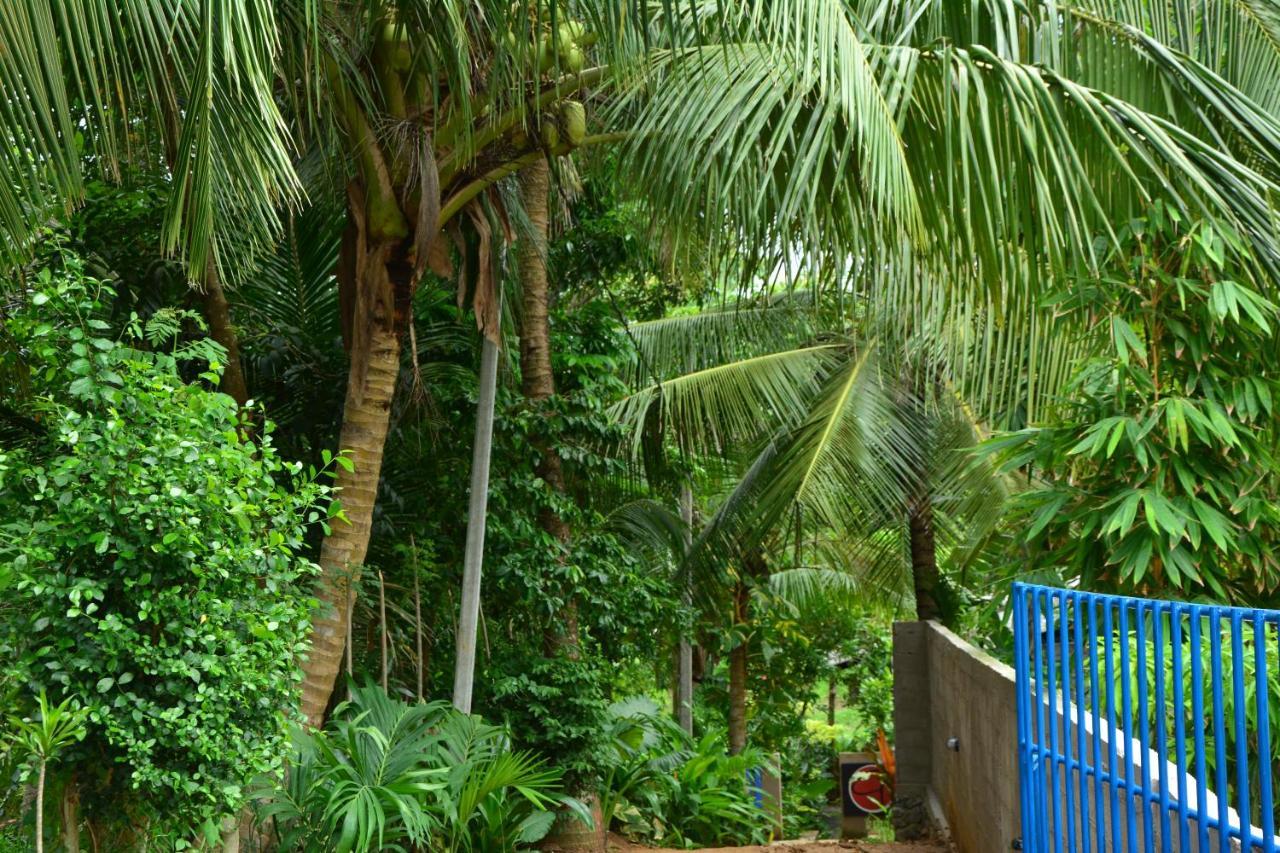 View Guesthouse & Bistro At Goyambokka Tangalle Exterior photo