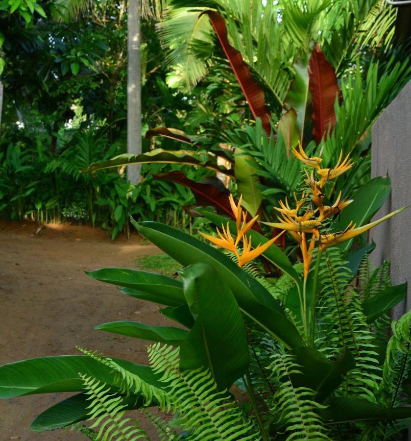 View Guesthouse & Bistro At Goyambokka Tangalle Exterior photo