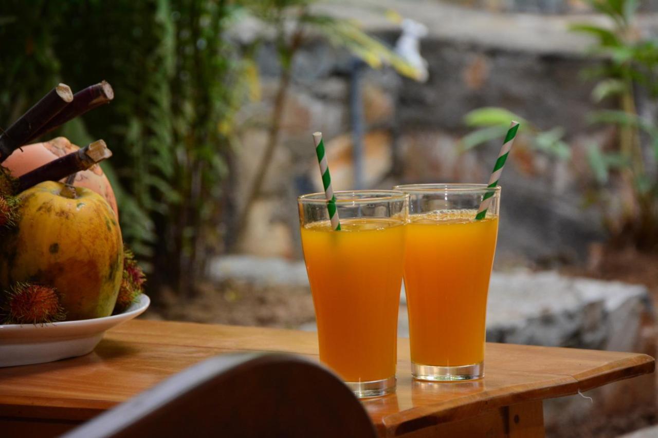 View Guesthouse & Bistro At Goyambokka Tangalle Exterior photo